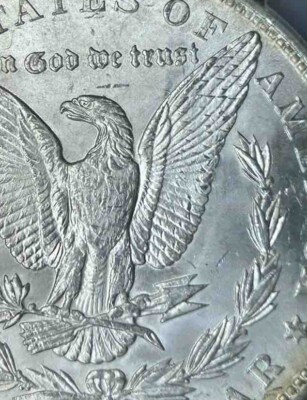 1888 Philadelphia Die Gouges VAM-7 Morgan dollar showing progressive reverse die gouge marks